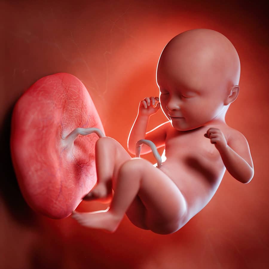 Geschlecht beim Ungeborenen erkennen